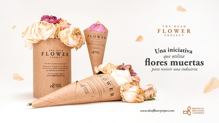 The Dead Flower Project 02
