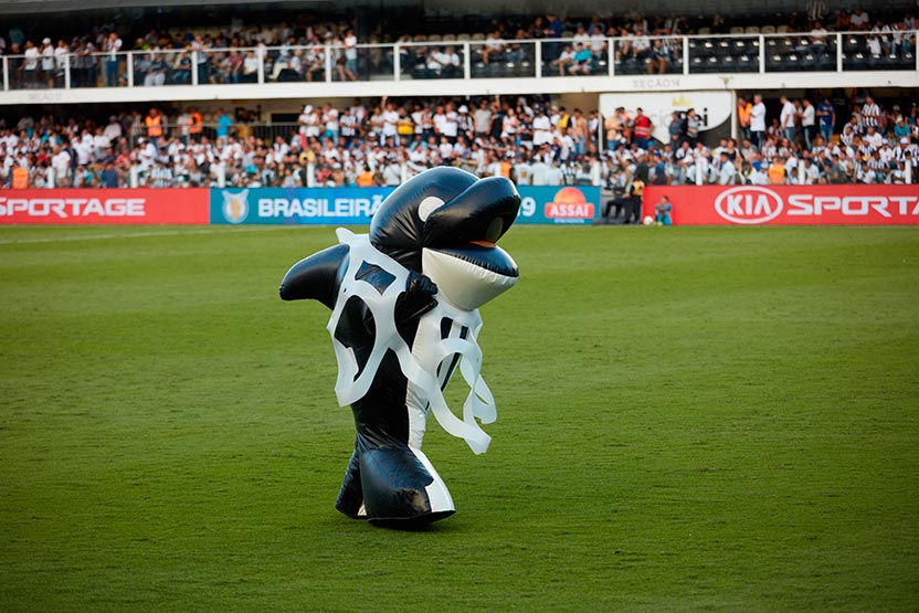 Ballena 02