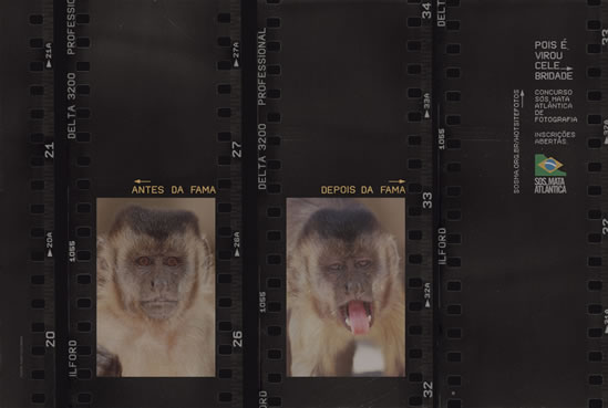Fotografía 4