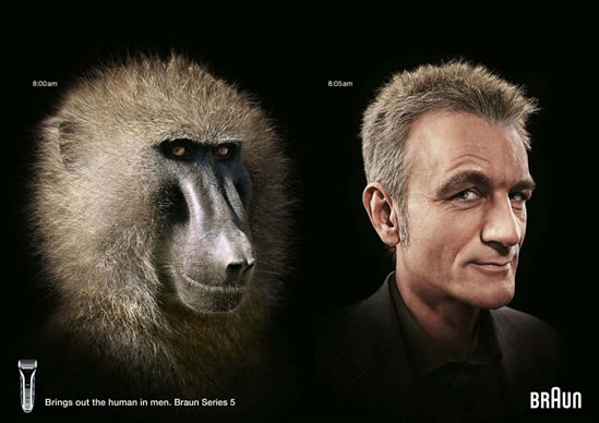 Gráfica - Braun