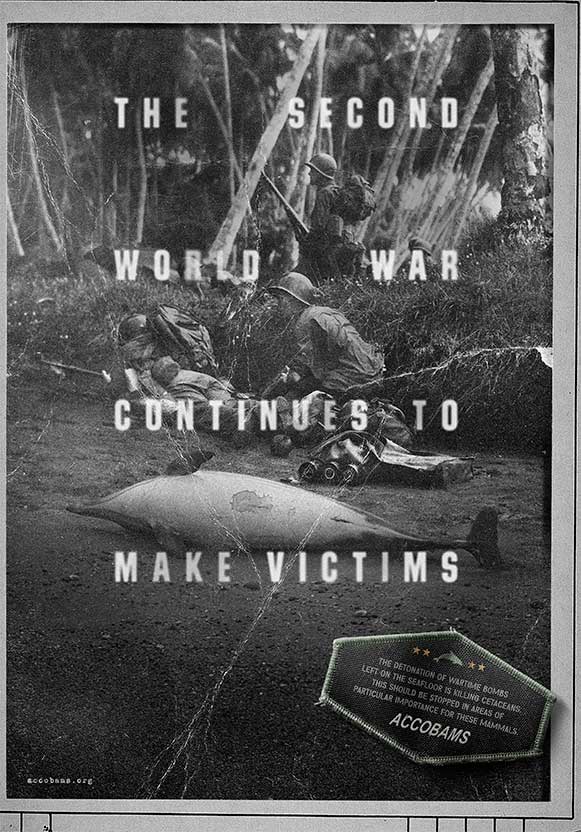 Campaña Accobams - Vítimas de Guerra