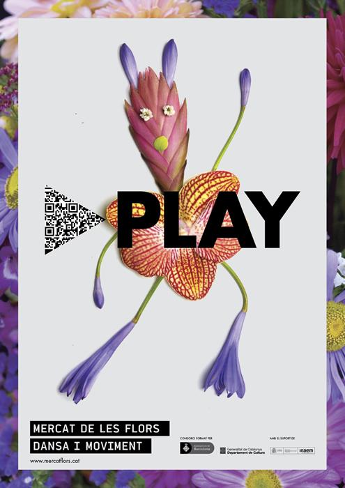 AGAPANTHUS