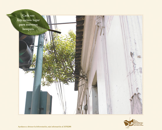 Campaña - Eco Pro Diver (Ogivly Guatemala)