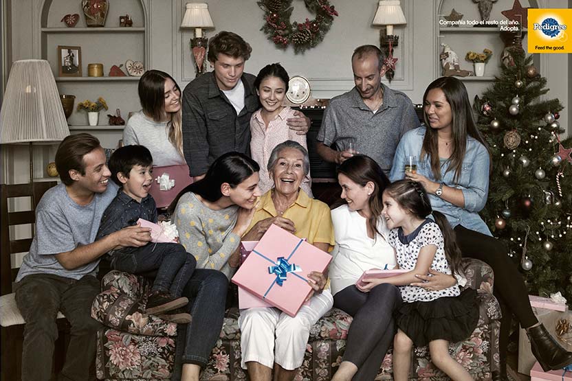 Campaña Pedigree - Abuelos