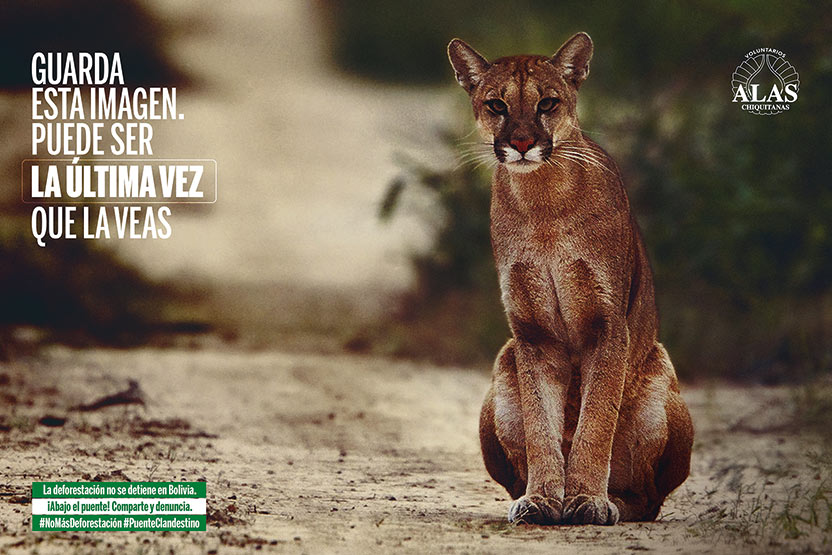 Campaña Alas Chiquitanas - No al puente 