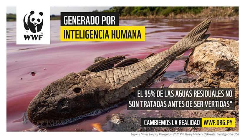 Campaña WWF - Generado por Inteligencia Human