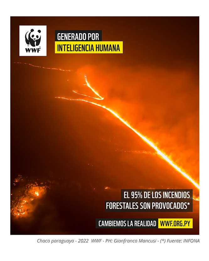 Generado por Inteligencia Humana 2