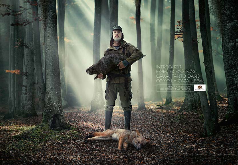 Campaña Banco De Bosques - Armnimales 