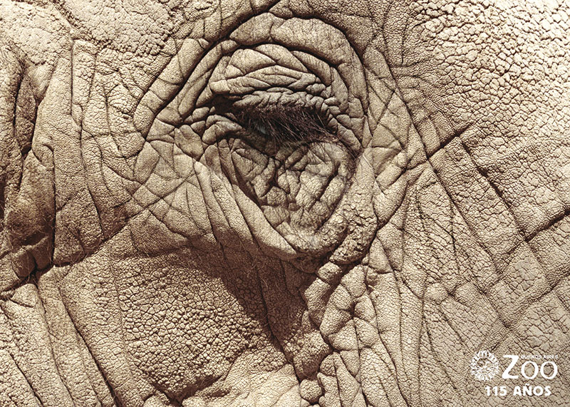 Arrugas (Gran Ojo Gráfica 2004 - El Ojo 20 años)