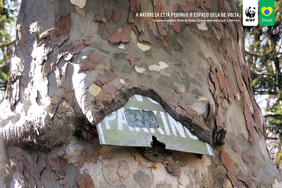 Árbol Placa