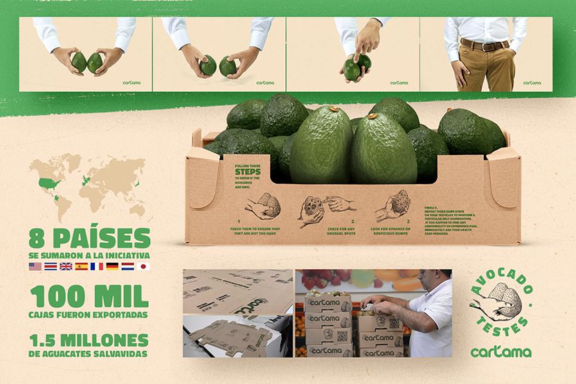 Avocado Testes