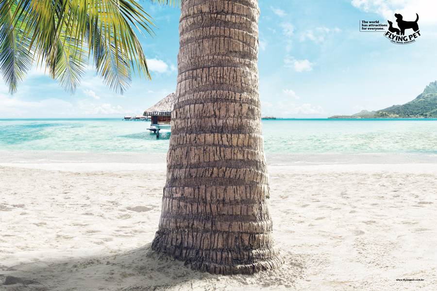 Campaña Flying Pet Site