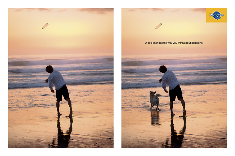 Campaña Pedigree Brasil