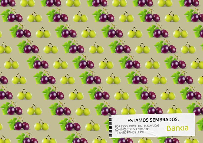 Dichos populares 3