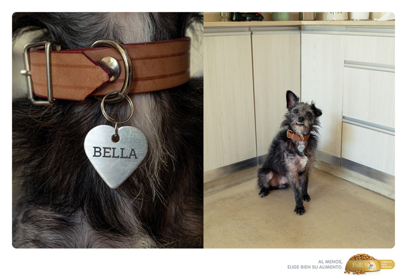 Bella - dog names