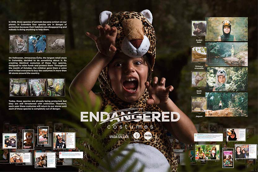 Board - Endangered Costumes