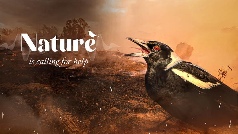 Board - Nature is Calling for Help