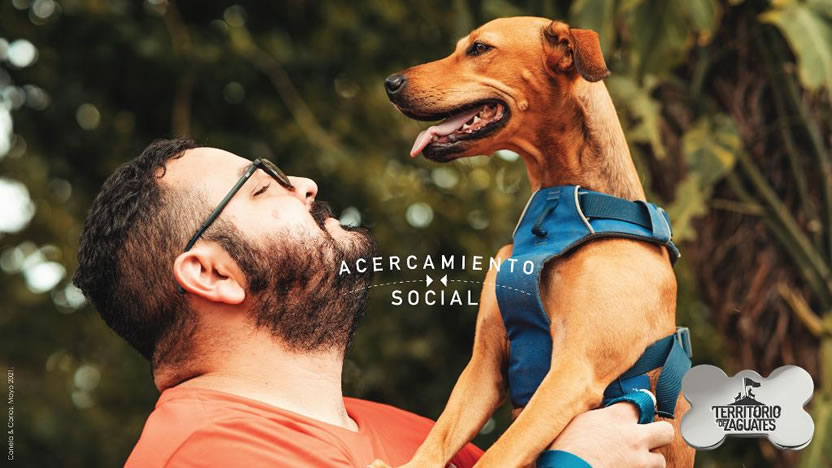 Campaña Territorio de Zaguates - Acercamiento Social