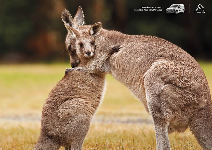 Campaña Abrazos - Citroën Chile