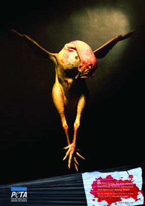 Pollo Crucificado
