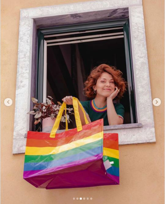 Bag/Flag 03