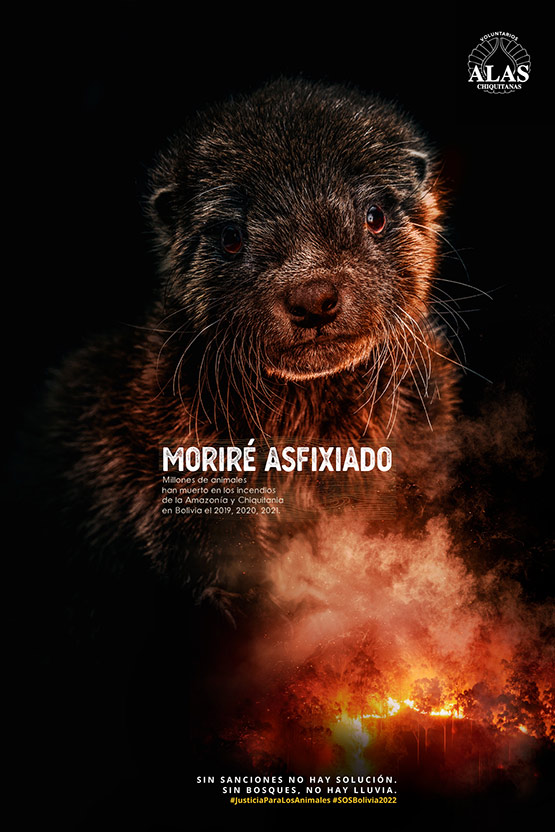 Lobito de Río