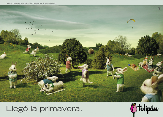 Campaña - Primavera 06 Tulipán (Y&R Argentina)
