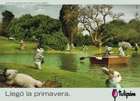 Conejo Lago