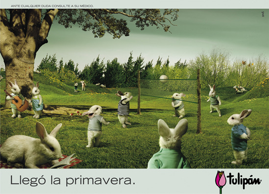 Conejo Voley