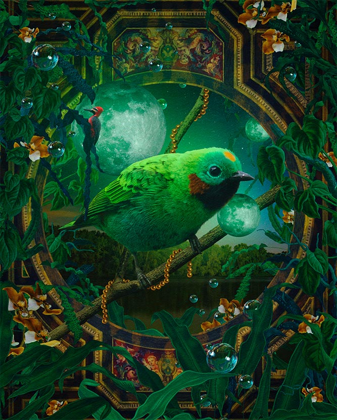 Conservation Internacional Perú