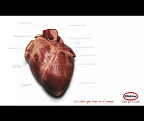 Gráficas - Pinturas Glidden (BBDO Guatemala)