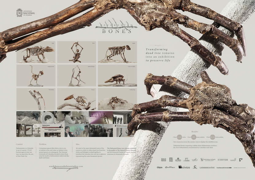 Deforested bones