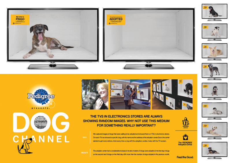 Dog Channel