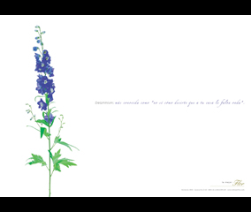 Delphinium