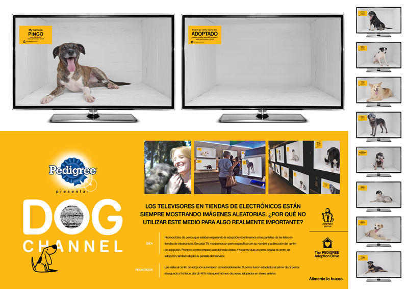 Dog Channel (El Ojo 2017)