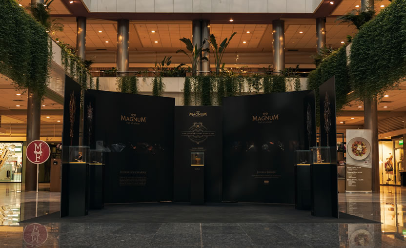 Exhibición - GOT + Magnum 1
