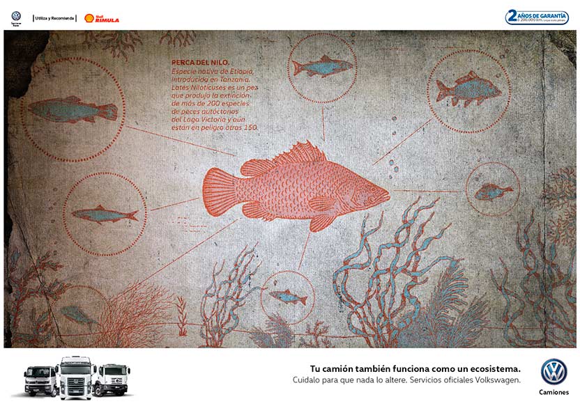 Campaña Volkswagen Camiones - Ecosistema