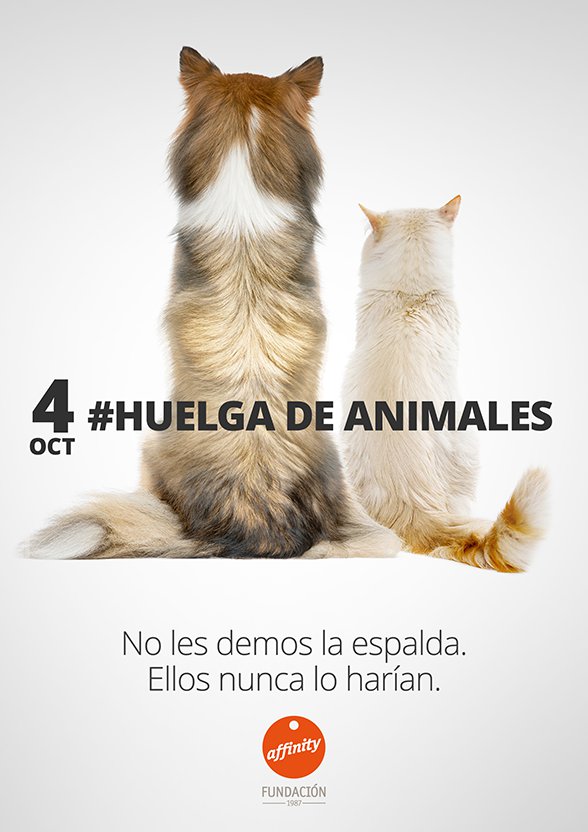 #HuelgadeAnimales