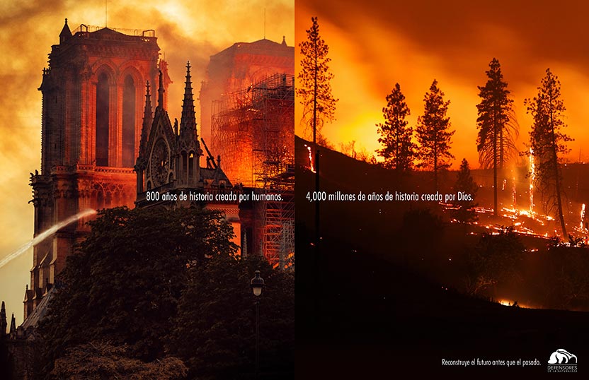 Campaña Defensores de la Naturaleza - Fire