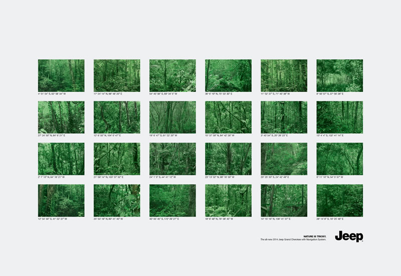 Forests