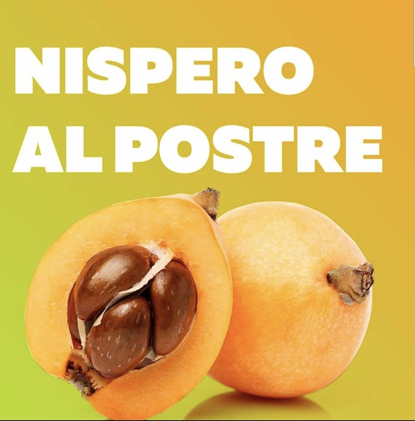 Níspero