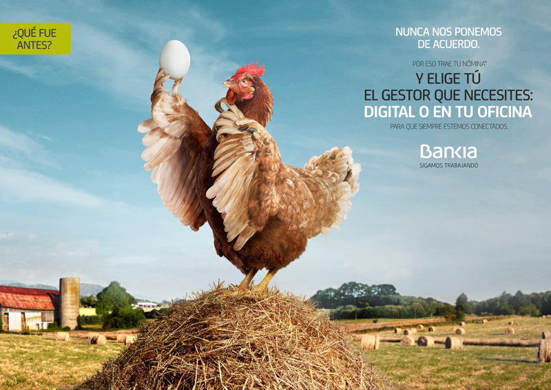 Gallina