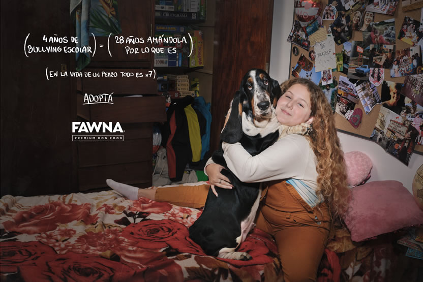 Adoptá 2