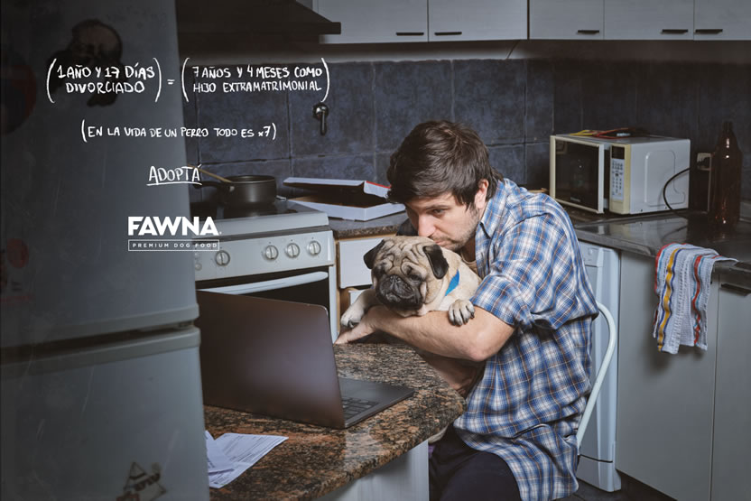 Adoptá 5