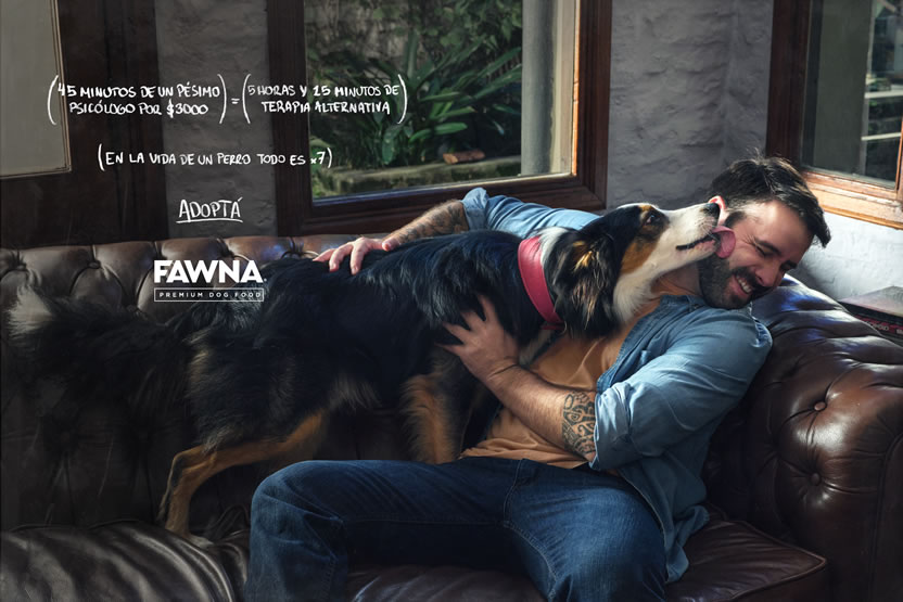Adoptá 6