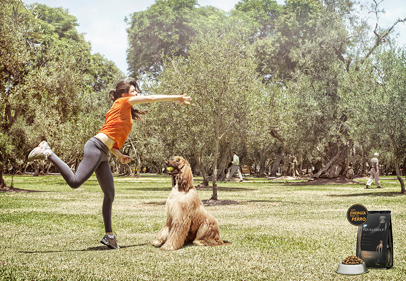 Campaña Equilibrio