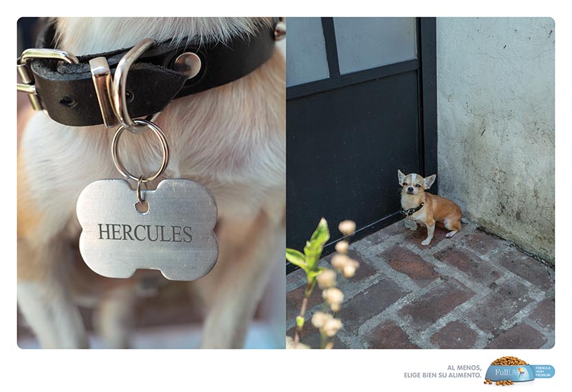 Hércules