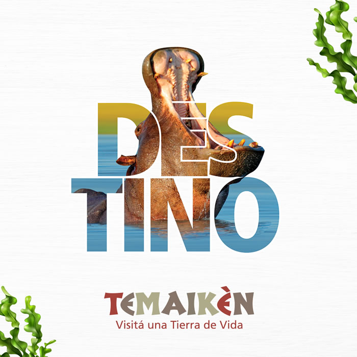 Hipopótamo