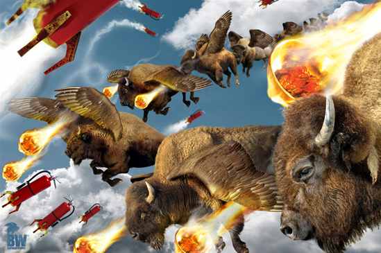 Gráfica Buffalo Wings