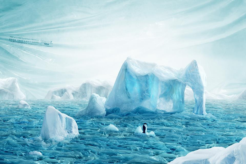 Iceberg